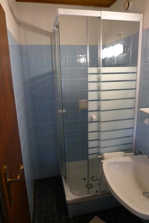 Apartment Alpenappartement Claudia Piesendorf